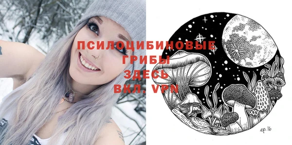 прущая мука Абаза