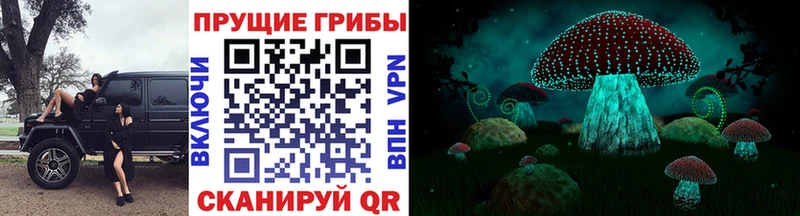 где найти наркотики  мега ссылки  Псилоцибиновые грибы мицелий  Кудымкар 